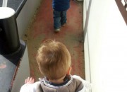 Wandelen